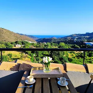 https://dplex-mar-y-montaa.1costadelsol.com